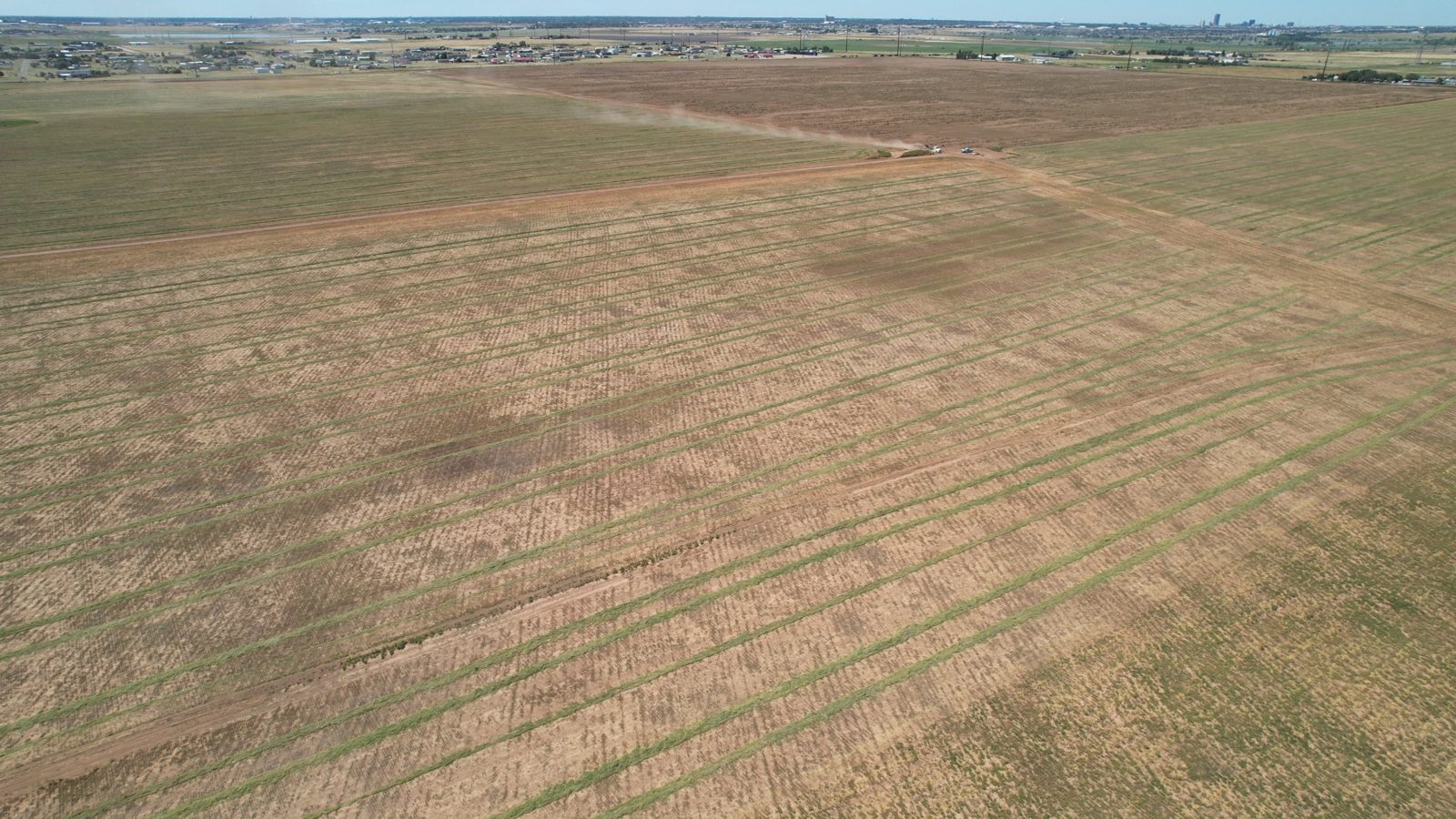 Drone view of cut hay rows across Panhandle farmland